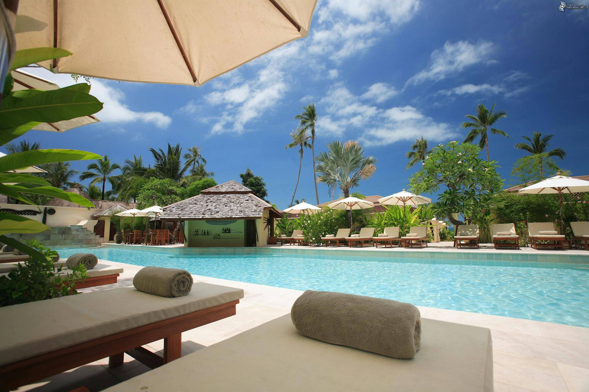 Free Nights Can Be Yours